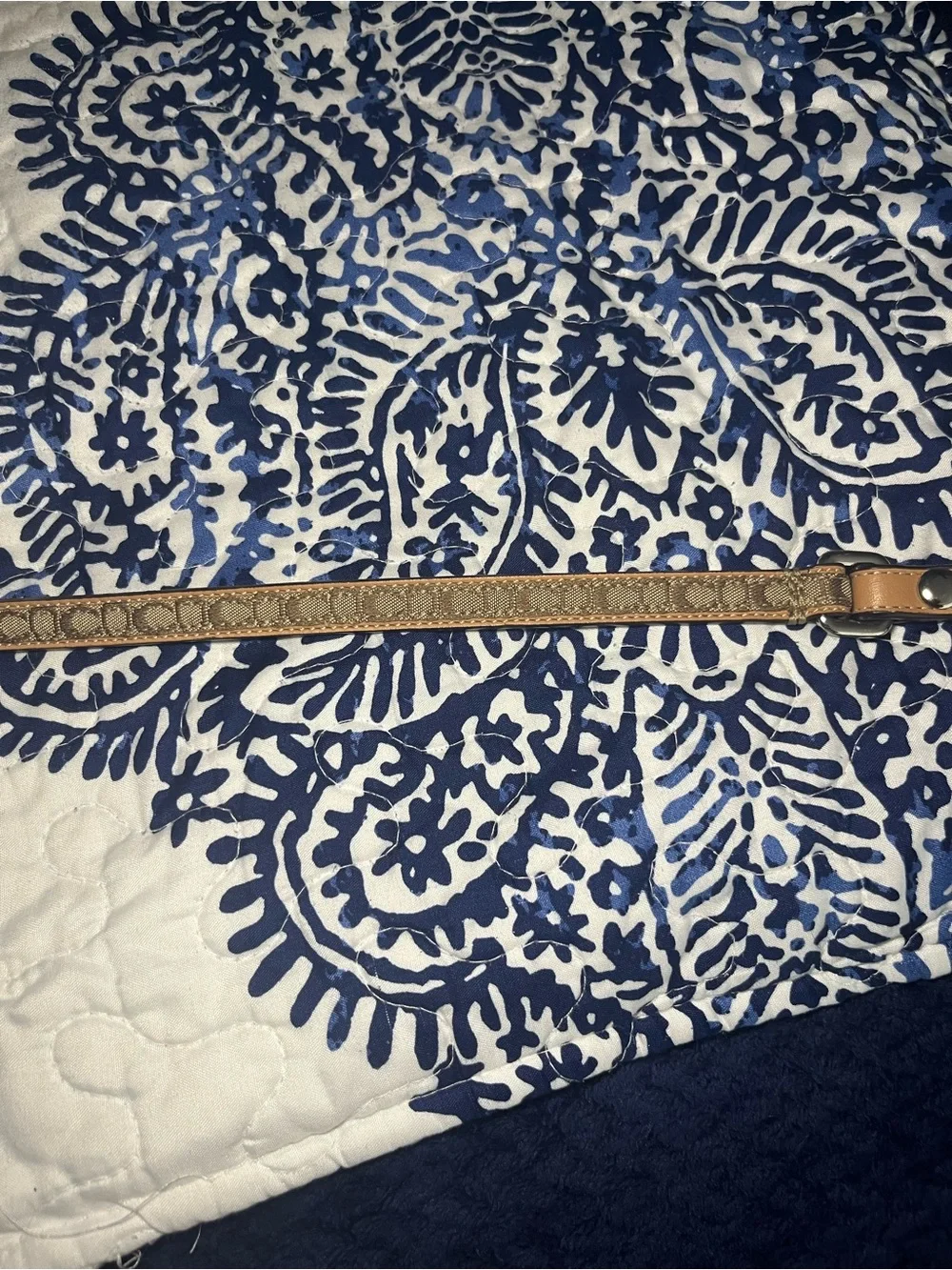 Coach premium leash